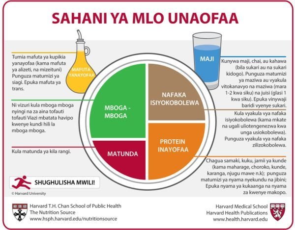 Vyakula kwa mgonjwa wa kisukari. Mgawango wa aina ya vyakula. Sahani ya mgonjwa wa kisukari-Harvard-AFYATech