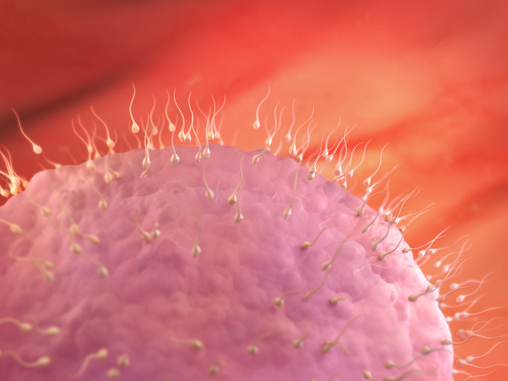 Dalili za mimba ya siku 3 _Mimba ya wiki 1_courtesy www.babycenter.com