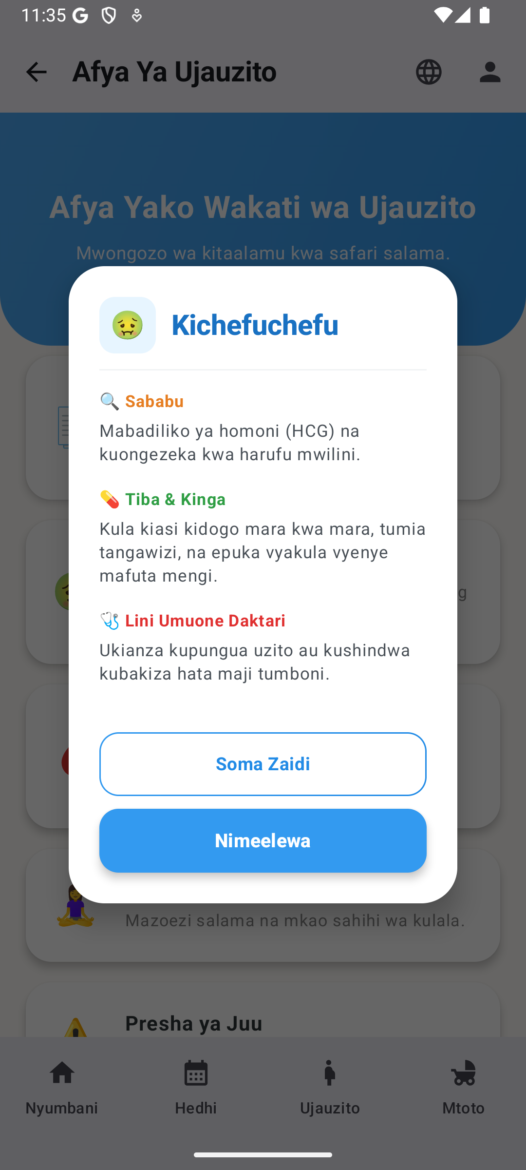 Kichefu chefu na changamoto za ujauzito